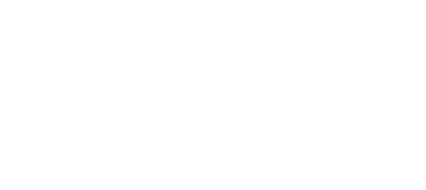 Veleon Consulting
